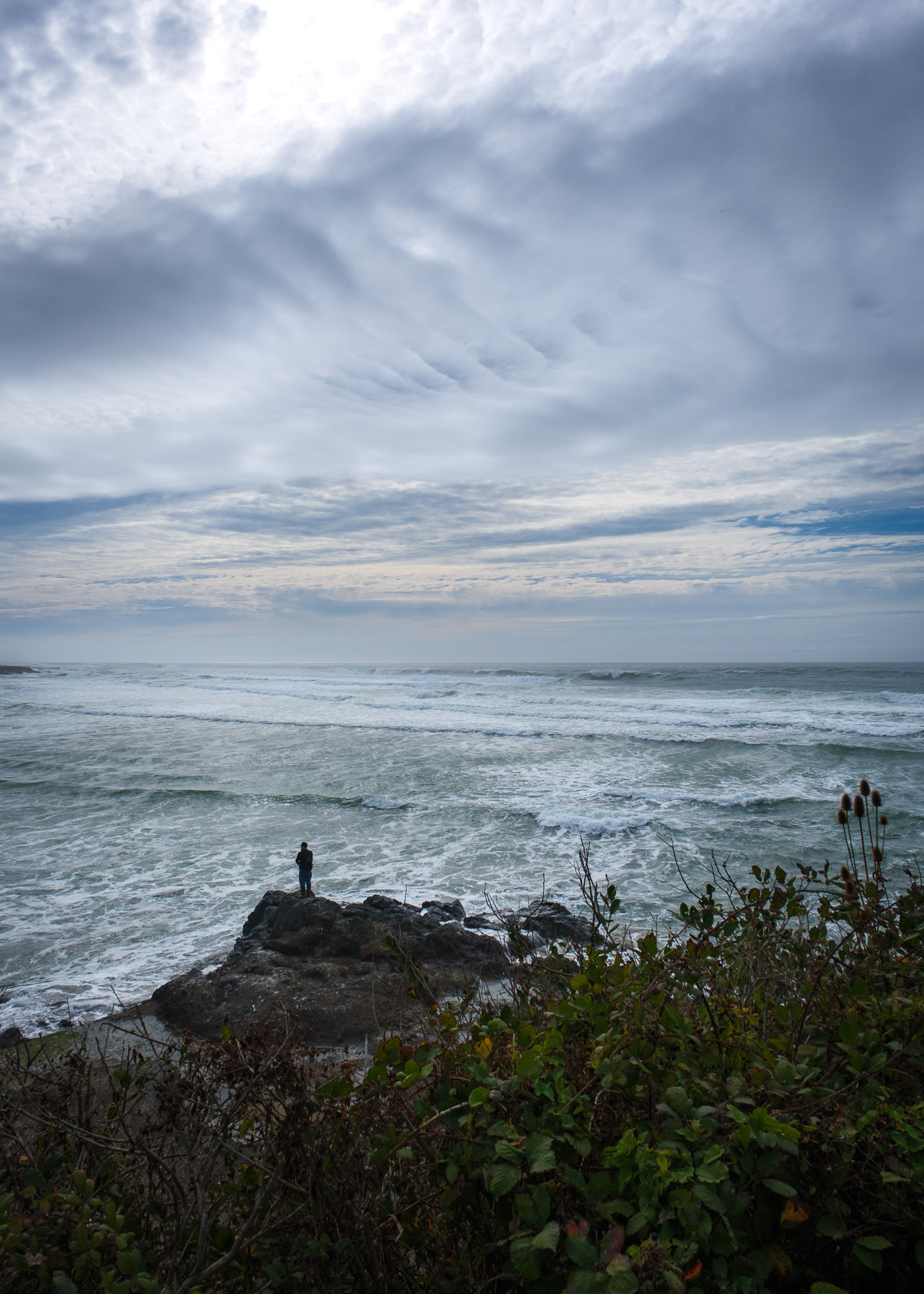 Pacific Northwest Road Trip photo titled Pacific Coast 82